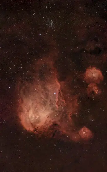 IC 2944 - Una gallina che corre