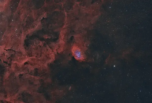 Tulip Nebula