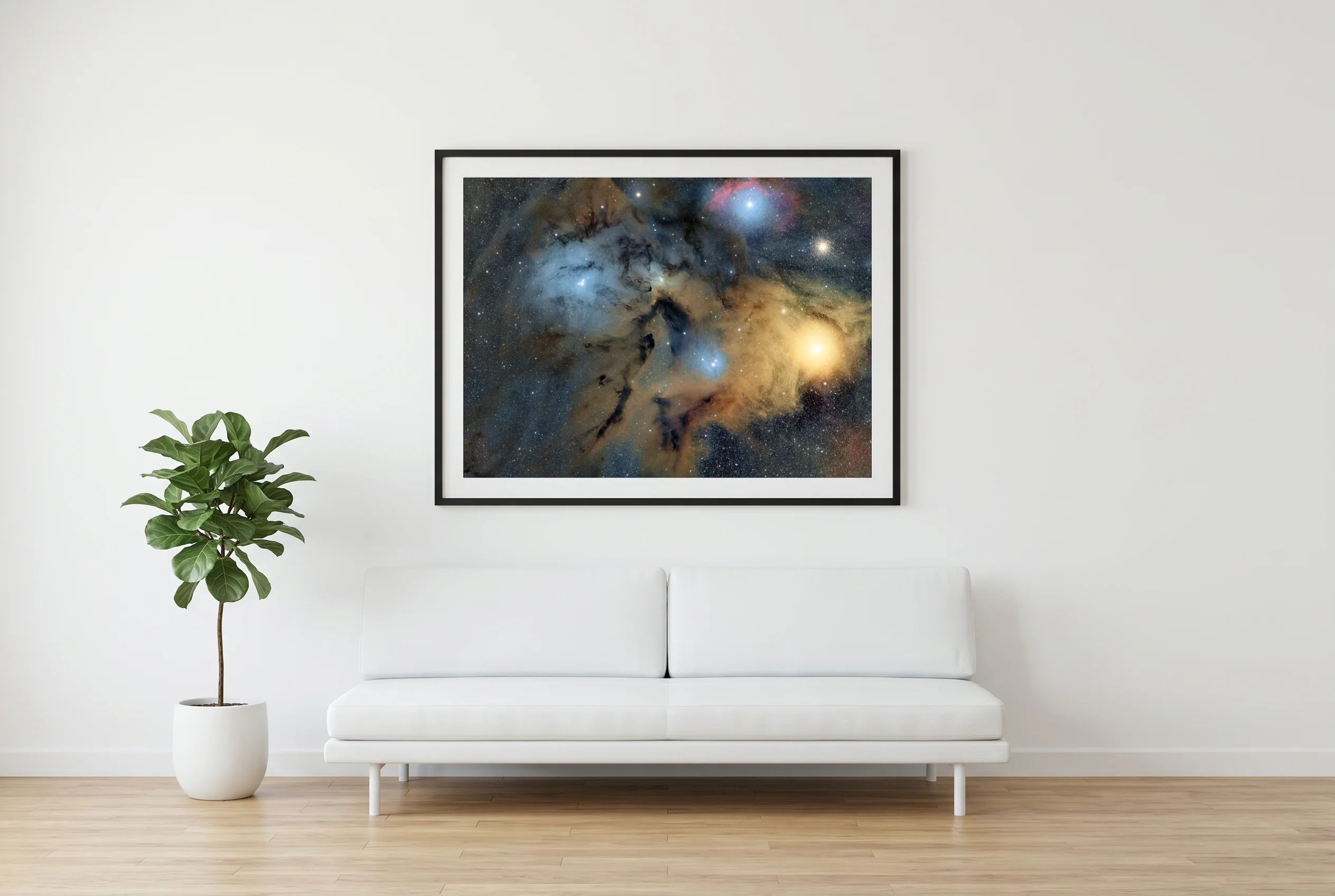 Stampe Fine Art